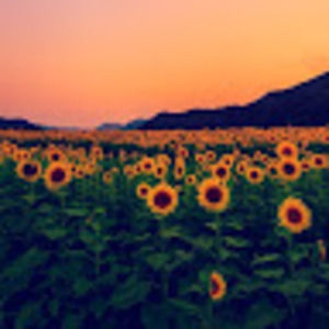 Meet your Posher, Anab